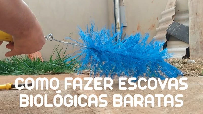 Como Fazer Escova Biológica Caseira Barata
