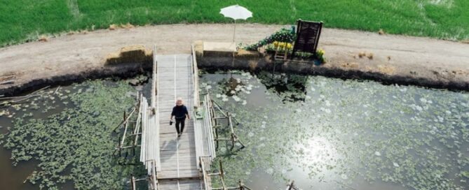 Espécies de Peixes mais Criados na Piscicultura no Brasil