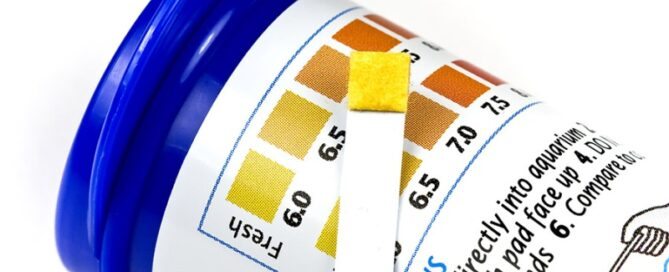 O que é PH - Como afeta o Crescimento dos Peixes e Como Controlar