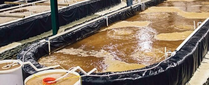 Aquaponia e Bioflocos - Redução de Efluentes e Maior Produtividade