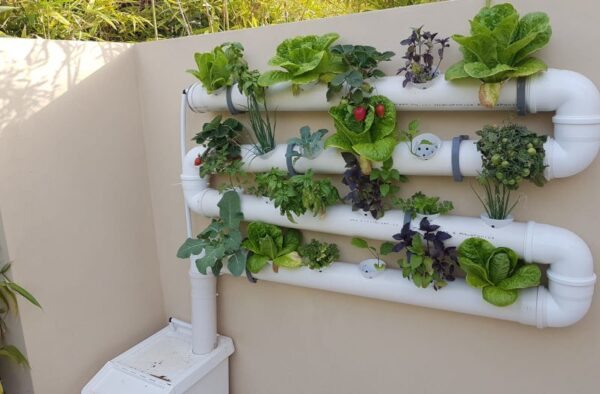 Cubo De Basura Orgánica De Cocina Montado En Pared - 9 Litros, Tapa Hermética, Ideal Para Espacios Pequeños