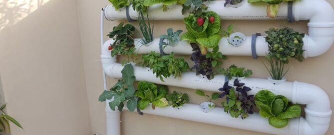 Mini Sistemas Hidropônicos para Apartamentos e Pequenos Espaços