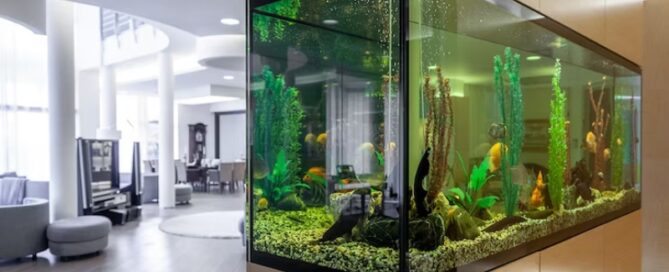 Parâmetros da Água Essenciais para a Saúde dos Peixes Ornamentais