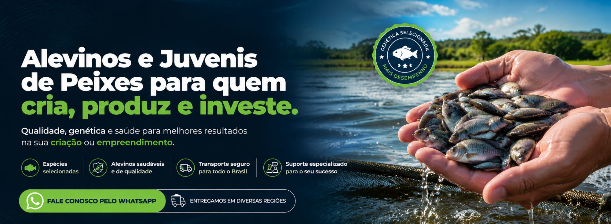 Alevinos e Juvenis de Peixes para criadores, pesqueiros, piscicultura