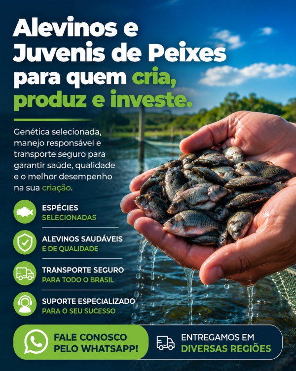 Alevinos e Juvenis de Peixes para criadores, pesqueiros, piscicultura 2